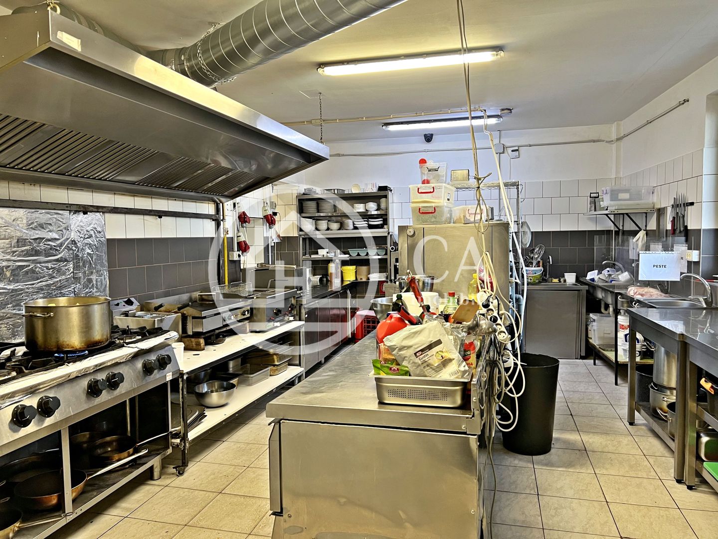 Afacere la cheie de vânzare în Santandrei, Bihor - Poză 20