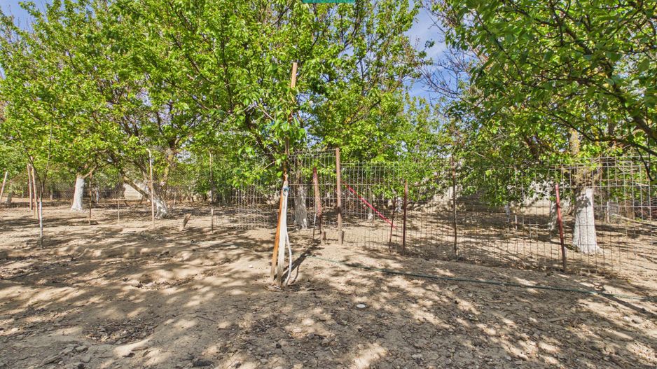 Casă retrasă Pișchia – 4 camere, teren 920 mp - Poză 69