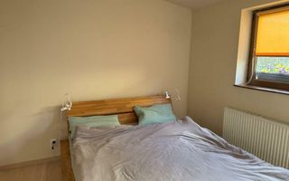 duplex in vila , Tineretului , Sincai - Poză 13