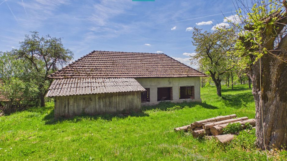 Proprietate rară cu 24.270 mp, în Măgulicea, Arad! - Poză 34