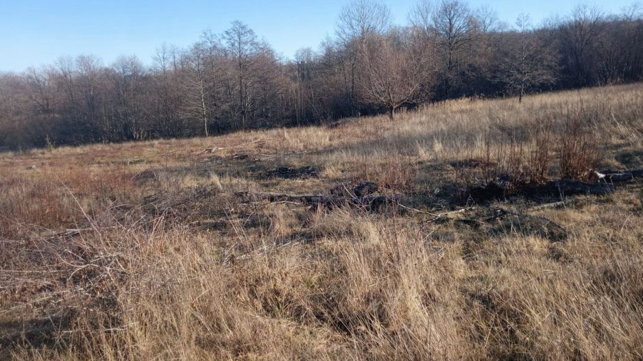 Teren extravilan | Vicovu de Jos | Preț 27.000 | Negociabil - Poză 9