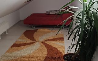 Apartament 2 camere + mansardă, 90 mp , zonă Sâncraiu de Mureș - Poză 7