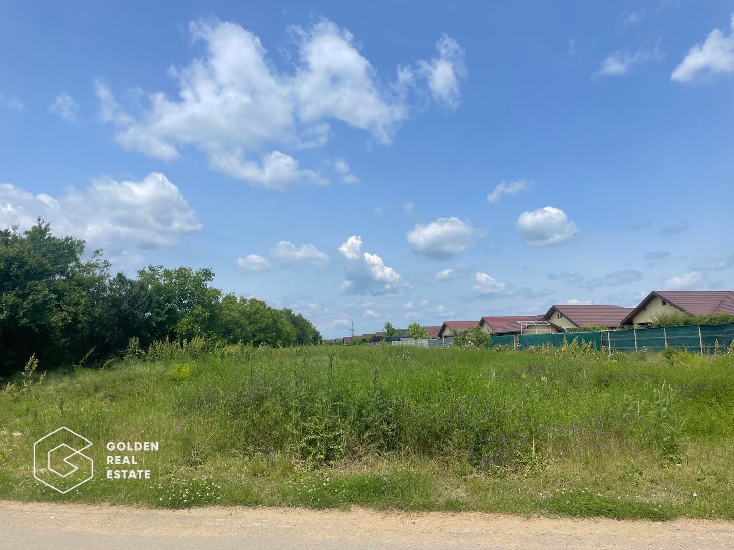 Teren intravilan, Balotești, Strada Cameliei 36, 10.000 mp - Poză 2