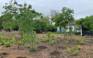 Teren intravilan 2562mp Loc 23 August | Ideal locuiță sau casă vacanță - Poză 6