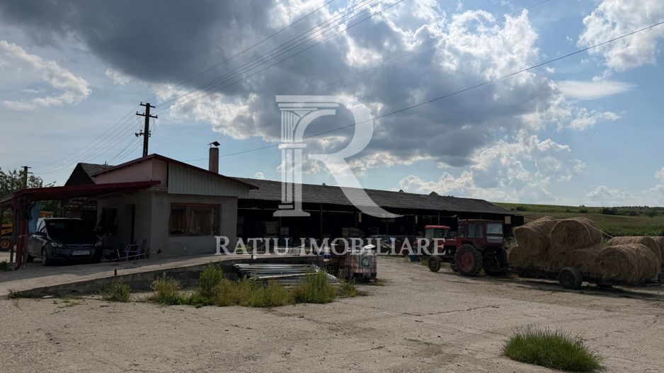 Activ agricol integrat | 67,5 ha | Oportunitate investițională - Poză 9