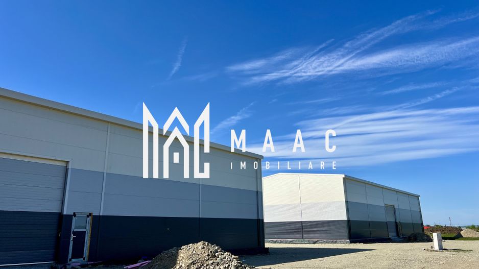 Hală de vânzare  I Cu Utilități I Sibiu Vest I Dezvoltator - Poză 8