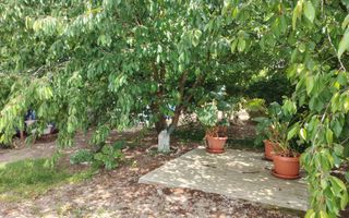 Casa Ciocanesti Cretu - 2 camere cu teren 2539 mp  - Jud. Dambovita - Poză 43