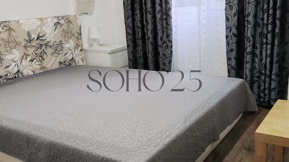 Inchiriere apartament Teiul Doamnei - Poză 3