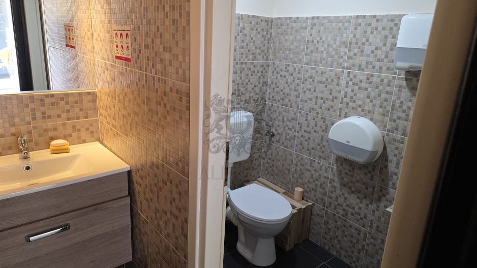 Dorobanti – Putul lui Zamfir | Vila Individuala | 7 camere | Terasa - Poză 17