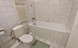 Apartament cu 1 cameră de închiriat | Mănăștur - Poză 5