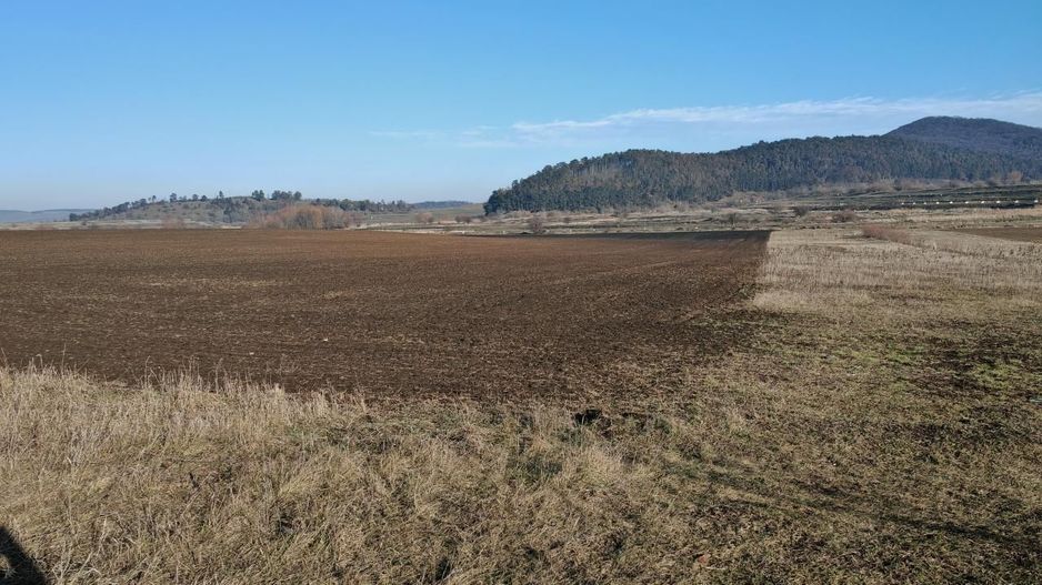 Teren intravilan,428 mp,SANPETRU iesirea spre BOD, utilitati. - Poză 2