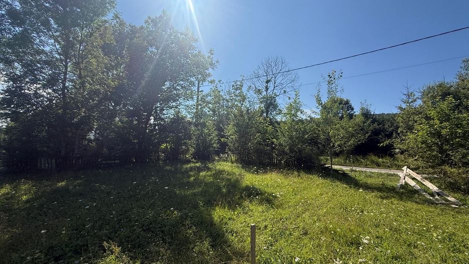 Teren intravilan 1662 mp pozitie superba-Calea Brasovului Valea Neagra - Poză 9
