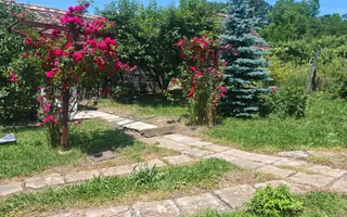 Casă săsească autentică în Bruiu (Sibiu) - Poză 13