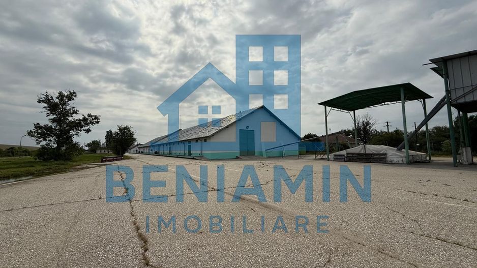 Depozit Cereale-3 Silozuri-Aut ISU-31.000mp-Perfect functional-Olt - Poză 9