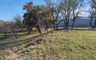 Teren intravilan 5324 mp la drum asfaltat-Parcelabil-Josenii Bargaului - Poză 3