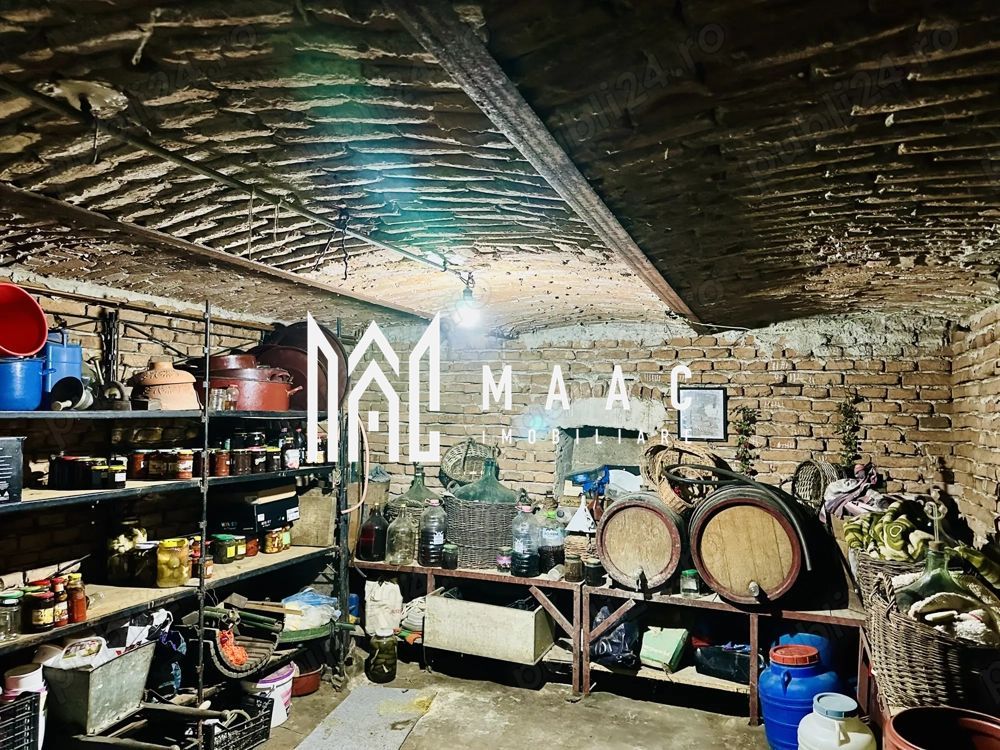 2 case individuale | Potențial investiție | Curte comună | Mediaș - Poză 7