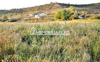 De vanzare 2 terenuri de 29.500 mp si 1.400 mp.29 euro mp - Poză 7