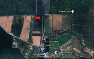 Oportunitate de investitie | Teren intravilan langa padurea Scrovistea - Poză 1