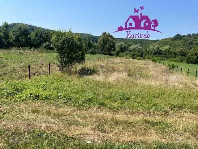 Teren intravilan Hidiselul de Sus - Poză 3