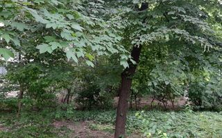Apartament cu 3 camere de închiriat pentru 2 persoane - Metrou Titan - Poză 4