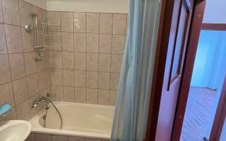Apartament Banu Manta // Titulescu - Poză 6