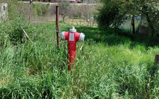 Teren intravilan 3.250 mp în Filești – Ideal pentru casă sau investiție! - Poză 9