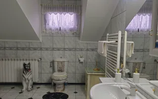 VILĂ IMPRESIONANTĂ CU PARC PRIVAT | 400 mp Construiți | 2.800 mp Teren - Poză 40