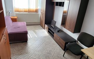 Spatiu industrial productie/ depozitare, Timiș - Poză 30