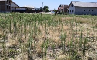 Teren intravilan Biharia 11058 mp - Poză 5