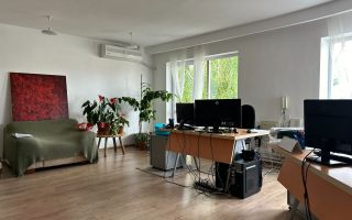 Casa cu mesteacan - DIRECT PROPRIETARI! - spectaculos toamna - Poză 9