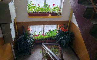 BRASADAS vinde ap cu 3 cam etaj 4/4 pe Drumul Botizului - Poză 7