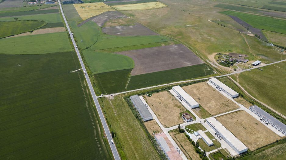 Teren Intravilan Investiții 11.600 mp Salonta - Poză 4