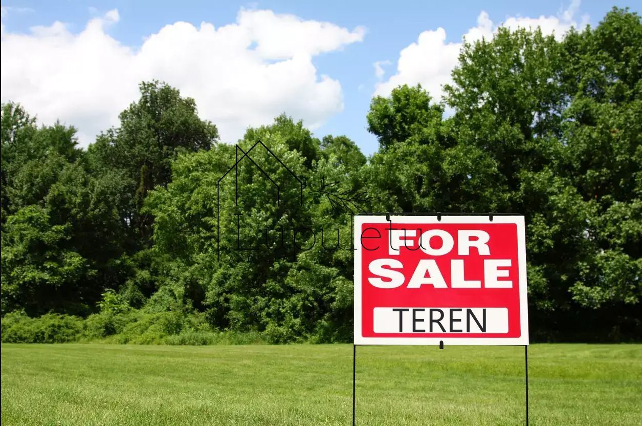 Teren | 10.000 MPU | Selimbar - Poză 2