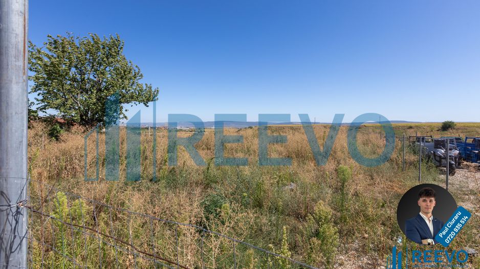 Hală de închiriat, Sat Valea Seacă, Com. N. Bălcescu, Bacău - Poză 13