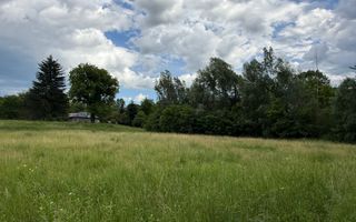Teren plat-intravilan -3800 mp, cu pădurice și ieșire la râu! - Poză 1