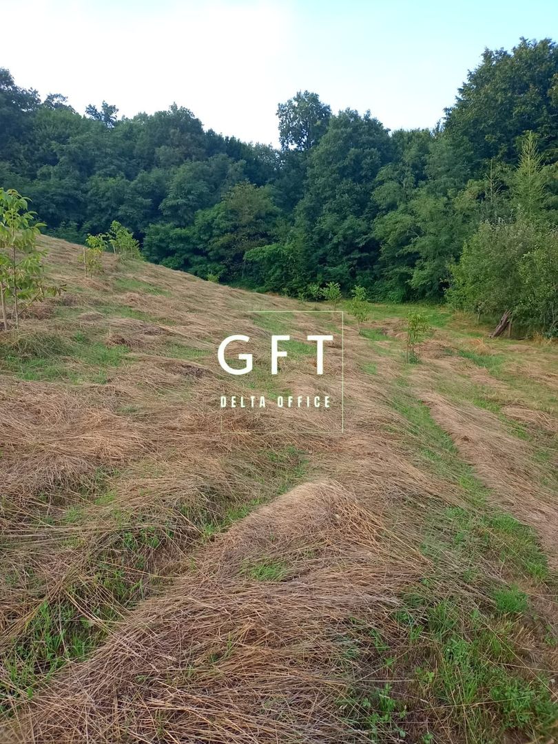 Casa de vanzare in Piatra com. Chiuza cu teren de 30Ari. - Poză 24