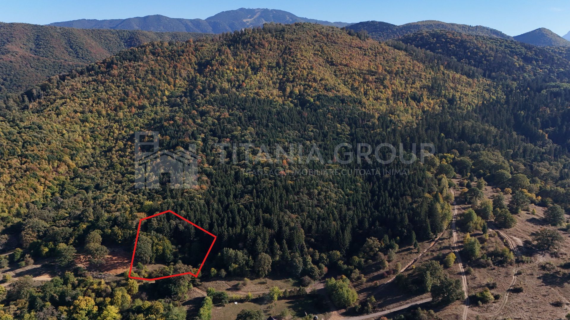 Aproape de Brașov, departe de agitație - Teren cu pădure în Cristian - Poză 5