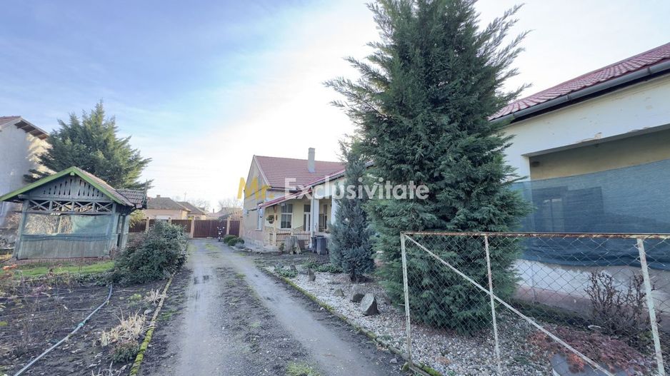 Casă 4 camere cu Teren 2.974 mp | Rezidență sau afacere | Carei - Poză 13