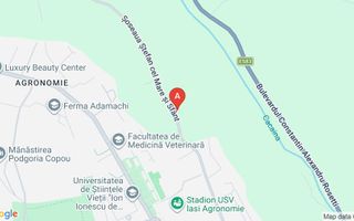 Casă de vânzare în Copou, Iași, pe Șoseaua Ștefan cel Mare și Sfânt nr. 14 - Poză 1