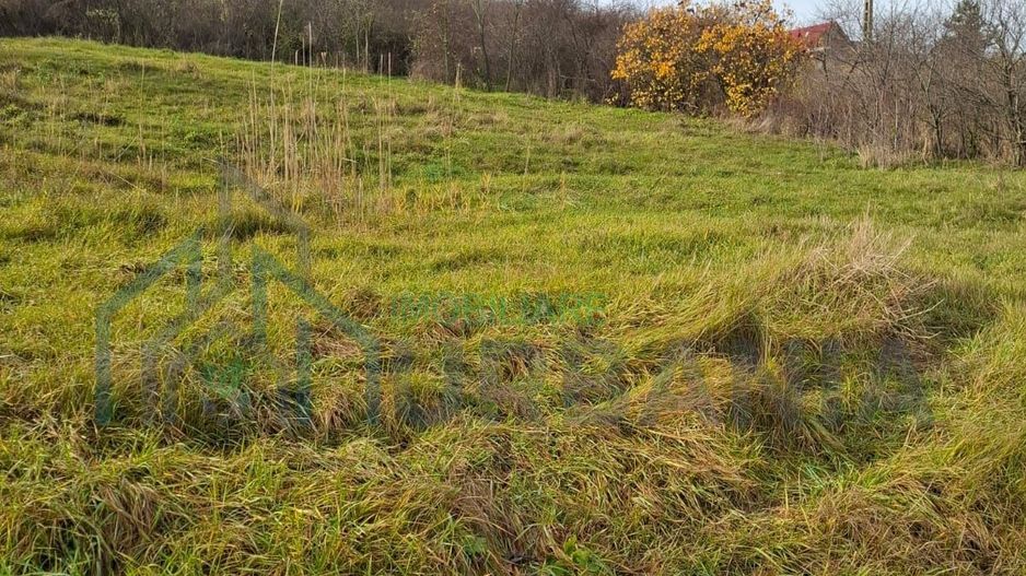 VAND Teren Golaiesti - Poză 2