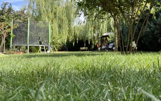 Vanzare casa individuala in Andrei Muresanu, teren 912 mp - Poză 6