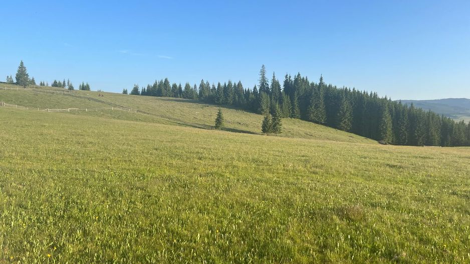 50 hectare teren | Moldova-Sulita | Potential turistic si agricol - Poză 1