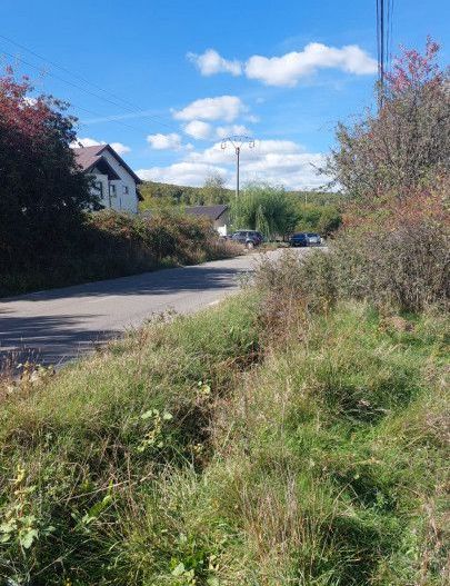 Vanzare teren intravilan, Smeura - Poză 3