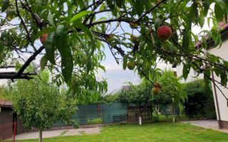 Casa 3 camere Domnesti - Poză 16