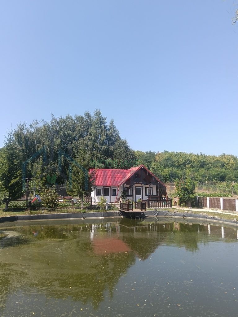 Cabana de închiriat în Iași, la 10 minute de centru - Poză 6