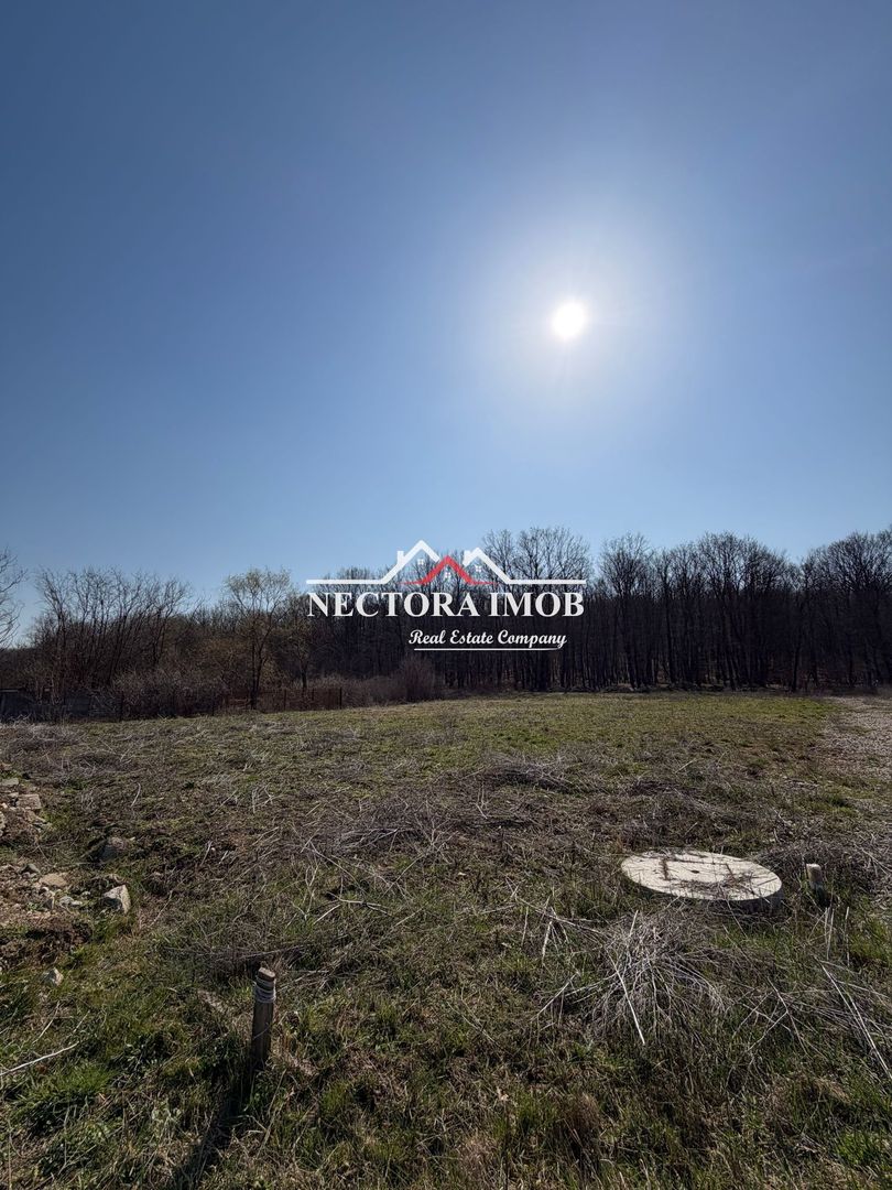 NECTORA IMOB-Teren Intravilan 1051 mp, Zona Alparea, Utilitati - Poză 2