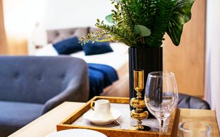 COMISION 0% - Garsoniera renovata 2024 Ana Davila - Palatul Cotroceni / Eroilor - Poză 6
