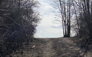 Teren de vanzare Pata Cluj - Poză 6