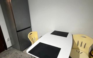 Apartament 2 camere de închiriat, parter, zona Podu Roș - Covrigăria Krantz, Iași - Poză 4