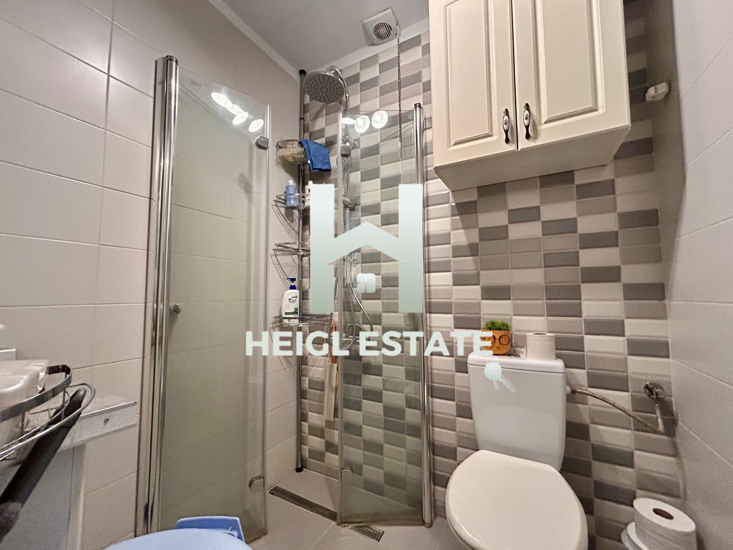 Casa 3 camere gata de mutat Sanandrei - Poză 12